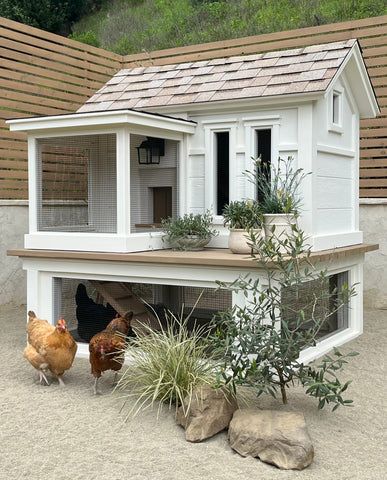 Bay Area Coops | Limited Edition Chicken Coop - "Pacific Farmhouse- Run Base" Classic White Farmhouse, Farmhouse Chicken Coop, Automatic Chicken Door, Animal Homes, Exterior Stain, Hardware Cloth, Door Shelves, White Farmhouse, Deck Garden