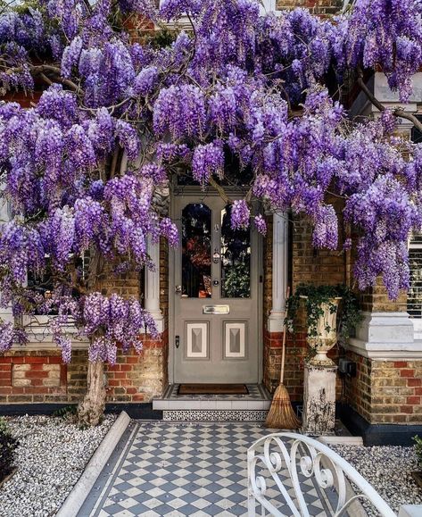 Nature as portal 🌿 Photo: @thatgirlfleur via @the_flowershopkeepers Wisteria Bridgerton, Bridgerton Lifestyle, Wisteria London, London Aesthetic, Entrance Door, Living Ideas, Garden Photos, World Of Interiors, London City