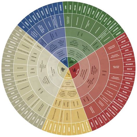 Oooh...this herbal energetics chart is so amazing! You can download it FREE and watch video lessons to help you find the right herbal remedy for your needs. Link in our bio! #herbalism #freedownload #herbalmedicine #video #flavorwheel Flavor Wheel, Learning Herbs, Mountain Rose Herbs, Herbal Tinctures, Glazed Carrots, Healing Plants, Herbal Healing, Healing Herbs, Medicinal Herbs