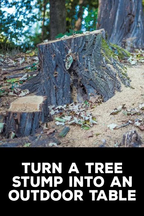 How to Turn a Tree Stump Into an Outdoor Table How To Decorate A Stump In Yard, Painted Tree Stumps, Stump Table Outdoor, Stump Out, Root Table, Tree Stump Table, Stump Table, Tree Stumps, Pressure Treated Wood