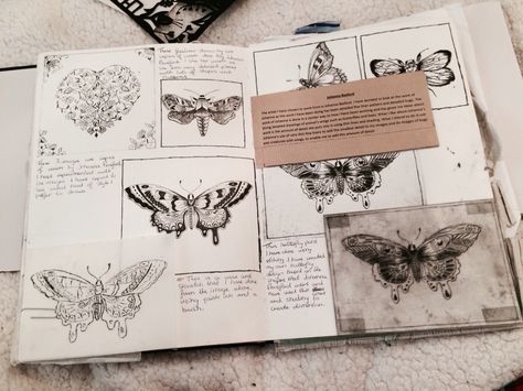 Sketch book for A Level art, fine liner butterflies #sketchbook #butterflies Butterfly Gcse Art Book, Insect Gcse Art, Gcse Art Butterflies, Animal Art Sketchbook, Gcse Butterfly Art, Fine Art Degree Sketchbook, A Level Art Sketchbook Nature, Gcse Art Sketchbook Animals, Butterfly Sketchbook Pages