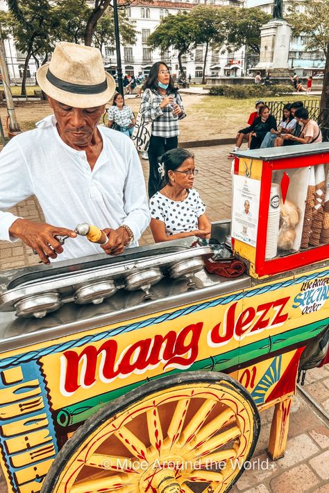 Mango icecream in Rizal Park in Manila, Philippines About Philippines, Pinoy Aesthetic, Manila Aesthetic, Manila Philippines Aesthetic, Philippine Culture, Rizal Park, Philippine Architecture, Cherry Blossom Pictures, Pixel Art Landscape