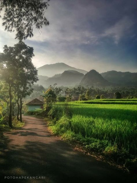 Jalan Desa di Kampung Bojong, Desa Mekarwangi, Kecamatan Argapura, Majalengka, Jawa Barat Sawah Di Desa Aesthetic, Kampung Aesthetic, Earth Drawings, Good Morning Beautiful Flowers, Blur Background In Photoshop, Village Photography, Nature Drawing, Beautiful Sunrise, Beautiful Photos Of Nature