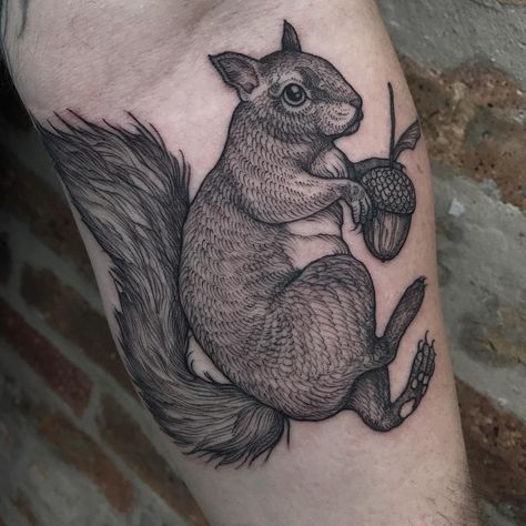 2,338 Likes, 18 Comments - Cloey (@inkbrambles) on Instagram: “Squirrel! Based on a painting I did a little over a year ago. Thank you, Mark! @blackoaktattoo #222…” Squirrel Tattoo, Wildlife Tattoo, Hard Tattoos, Artsy Tattoos, Forest Dress, Mouse Tattoos, Squirrel Pictures, Animal Dress Up, Manchester United Kingdom