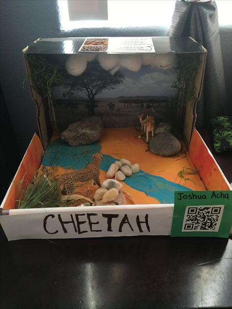 1st grade Cheetah diorama Cheetah Diorama, Rangoli Craft, Cheetah Crafts, Kindergarten Science Projects, Diorama Kids, Diwali Crafts, Diwali Activities, Habitats Projects, Animal Report