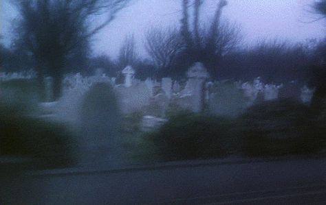 dont leave me Animated Banners, Banner Gif, Gothic Aesthetic, Header Banner, Aesthetic Gif, Nature Aesthetic, Grunge Aesthetic, Green Aesthetic, Graveyard