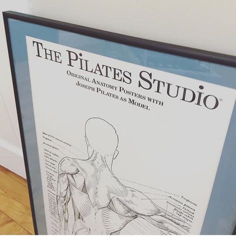 The Pilates Anatomy Posters about to go up at Worchester Pilates. Pilates Anatomy, Pilates Photos, Home Pilates Studio, Anatomy Posters, Anatomy Poster, Studio Pilates, Exercise Room, Yoga Aesthetic, Poughkeepsie Ny