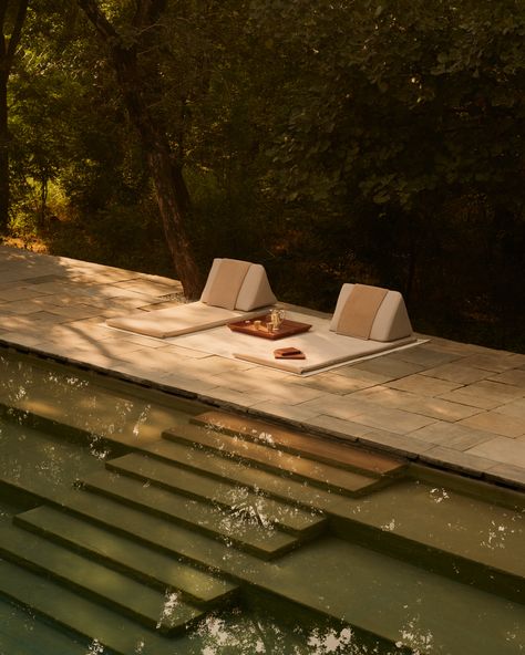 Organic Pools, Sanctuary Aesthetic, Jungle Architecture, Hotel Cortez, Indian Jungle, Indian Nature, Ranthambore National Park, Jungle Aesthetic, Garden Sanctuary