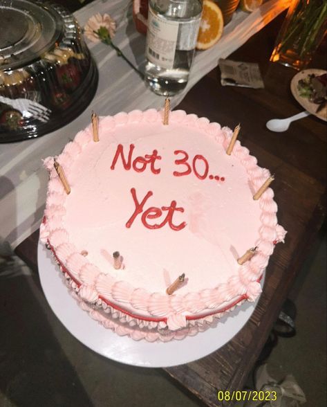 29 Bday Cake, Birthday Cake 29 Years Old, 29 Birthday Cakes For Him, 29 Birthday Cake, Funny Cake Ideas, 29th Birthday Cake, Quote Cake, 29th Birthday Cakes, Cake Bday