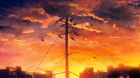 anime sunset #landscape #birds #clouds #Anime #1080P #wallpaper #hdwallpaper #desktop Anime Sunset, Iphone 6s Wallpaper, Anime Places, Western Wallpaper Iphone, Sunset Background, Sunset City, Black And White Background, Sunset Landscape, Sunset Wallpaper