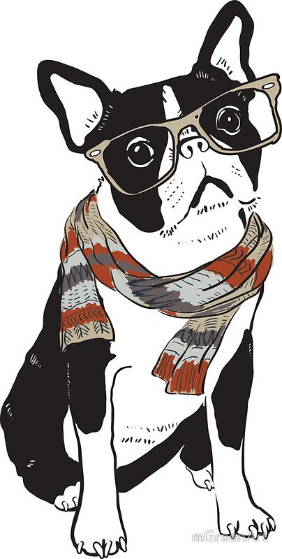 "Pupster" Hipster Animal Boston Terrier Dog Boston Terrier Drawing, Terrier Drawing, Britto Art, Hipster Animals, Dog Outline, Boston Terrier Dog, Boston Terriers, Dog Stickers, Terrier Dog