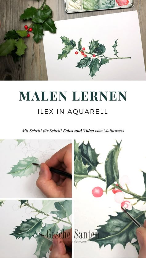 Aquarell malen im Winter- Mit meinen einfachen Anleitungen lernst du, winterliche botanische Motive, wie diese Stechpalmenblätter und beeren in Wasserfarbe zu malen. Lerne Blumen und Wildpflanzen in Aquarell zu malen und fülle dein nature journal oder Skizzenbuch im Herbst und Winter. #aquarell #video #malenlernen #anleitung #botanicalwatercolour #Skizzenbuch #naturejournal #Naturskizzenbuch #ilex #holly #stechpalme Ilex Aquifolium, Winter Drawings, Watercolor Brush Pen, Watercolor Tips, Watercolor Christmas Cards, Paint Cards, Watercolor Paintings Tutorials, Happy Paintings, Winter Diy