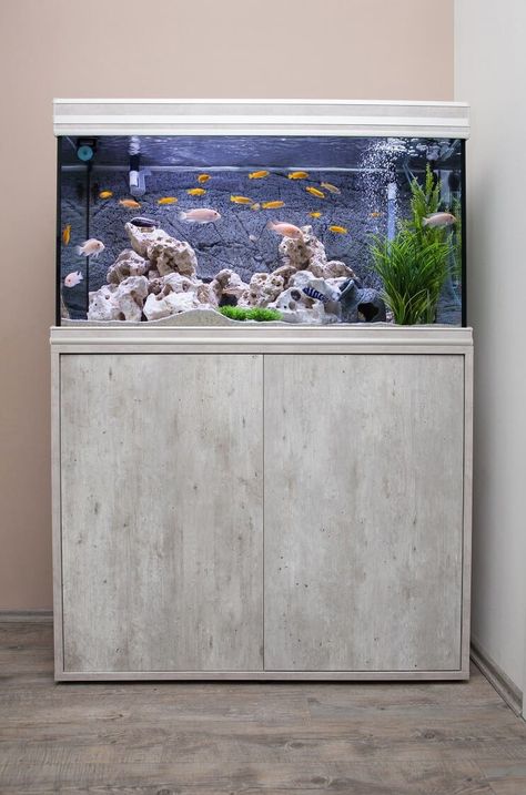 30 Gallon Fish Tank: Setups, Stocking Ideas, Equipment And More… - Fishkeeping World Modern Aquarium Stand, 50 Gallon Fish Tank Ideas, Fish Pots, 30 Gallon Fish Tank, Modern Fish Tank, Big Fish Tanks, Fish Tank Wall, Aquarium Diy, Fish Tank Themes