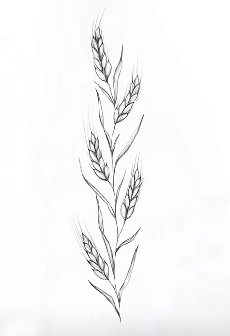 Tattoo Farm, Virgo Sign Tattoo, Wheat Drawing, Farm Tattoo, Wheat Tattoo, Tattoo Main, Sparrow Tattoo Design, Black Line Tattoo, Small Chest Tattoos