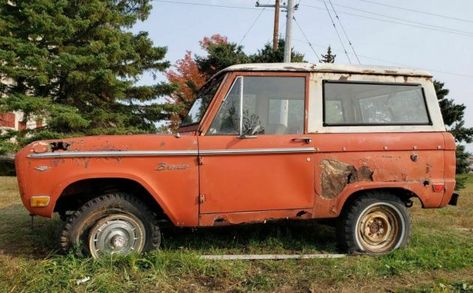 Old Ford Bronco, 2021 Bronco, Bronco Ford, Mustang Parts, Ford Bronco Sport, Early Bronco, Bronco Sport, Window Molding, Front Grill