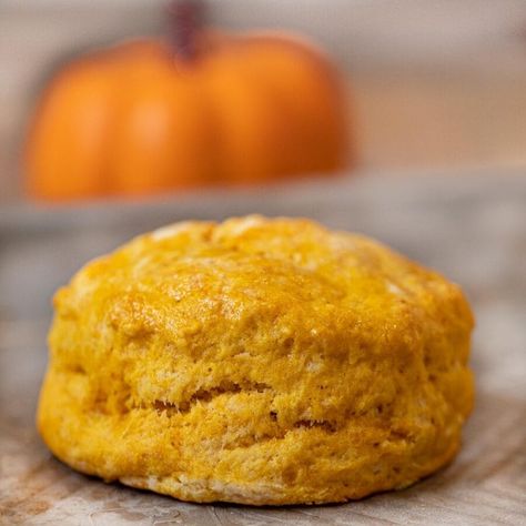 Pumpkin Biscuits with small pumpkin in the background Pumpkin Biscuits Recipe, Biscuit Recipes Dinner, Pumpkin Biscuits, Yummy Bread, Pumpkin Recipes Easy, Everything Pumpkin, Autumn Recipes, Pumpkin Everything, Pumpkin Pumpkin