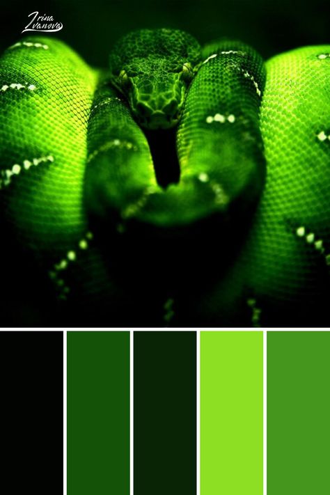 Neon Green And Black Color Palette, Shrek Color Palette, Snake Color Palette, Green Black Color Palette, Neon Green Color Palette, Kitchens Wallpaper, Green And Black Color Palette, Pastel Blue Palette, Houses Bathroom