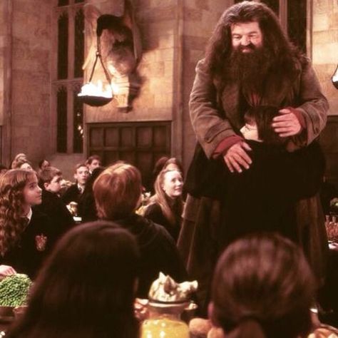 Harry Potter Friends, Robbie Coltrane, Rubeus Hagrid, Love Me Better, Images Harry Potter, Scottish Actors, Chamber Of Secrets, Harry Potter 2, Albus Dumbledore