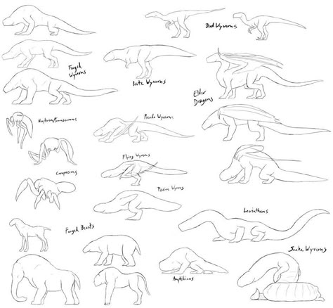 Dragon Anatomy, Monster Sketch, Dragon Base, Monster Hunter Series, Cat Drawing Tutorial, Monster Hunter Art, Beast Creature, Monster Drawing, Dragon Sketch