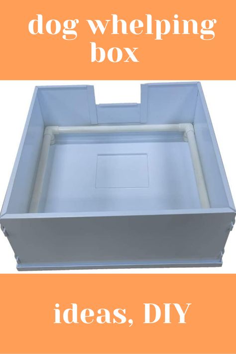 Image of a greyish white plastic whelping box against a white background equipped with pig rails for dog moms and their puppies so they can feel safe and warm. The pig rails are meant to protect the puppies from getting crushed by their mom. Above the image there is a phrase in white letters on a deep tan colored background that reads "dog whelping box" and below the image there is a phrase in white letters against a deep tan colored background that reads" ideas, diy". Whelping Box For Large Dogs, Dog Whelping Box Ideas, Dog Whelping Box Ideas Diy, Diy Whelping Box For Dogs, Whelping Box Diy, Welping Box Ideas Puppies, Welping Box Ideas Diy Dog, Whelping Box Ideas, Welping Box