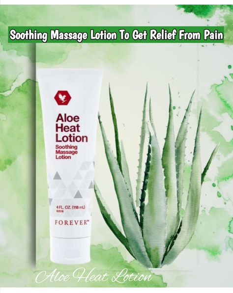 Aloe Heat Lotion, Forever Products, Massage Lotion, Forever Aloe, Forever Living Products, Cactus Plants, Lotion, Heat