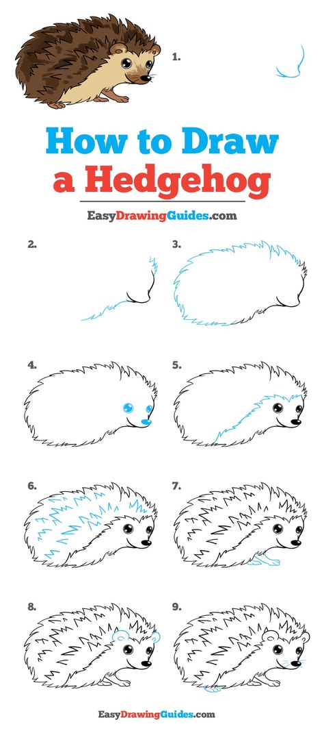 Learn How to Draw a Hedgehog: Easy Step-by-Step Drawing Tutorial for Kids and Beginners. #Hedgehog #DrawingTutorial #EasyDrawing See the full tutorial at https://easydrawingguides.com/how-to-draw-a-hedgehog/. Drawing Hedgehog, Hedgehog Drawing, Illustration Tutorial, Drawing Tutorials For Beginners, Easy Drawing Tutorial, Drawing Tutorials For Kids, Drawing Guide, Hedgehog Art, Cute Hedgehog