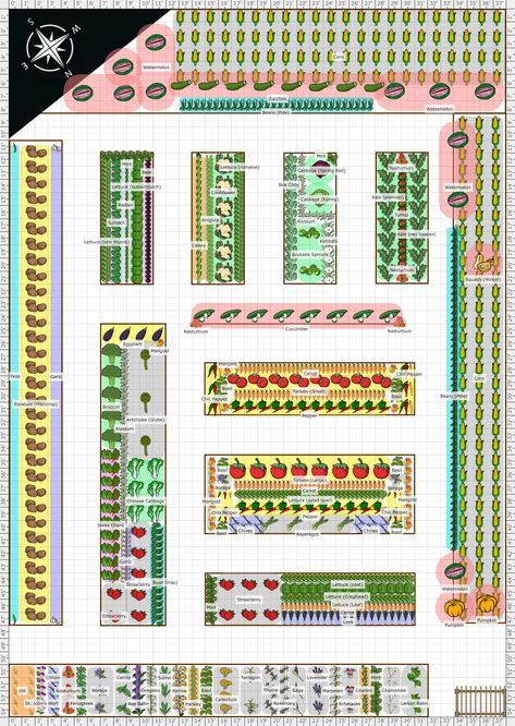 1 Acre Garden Design, 1 Acre Garden Layout, Garden To Feed Family Of 4, 1 Acre Vegetable Garden Layout, Budget Gardening, Acre Garden, Garden Layout Vegetable, Window Plants, Farm Layout