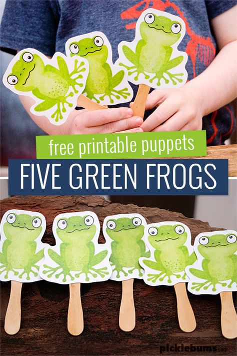 Frog Lesson Plans Toddlers, Frog Kindergarten Craft, Free Alligator Printables, Frogs For Preschoolers, Tiddalick The Frog, 5 Green And Speckled Frogs Printable, Pond Activities For Toddlers, Color Green Crafts For Toddlers, Green Activities For Toddlers