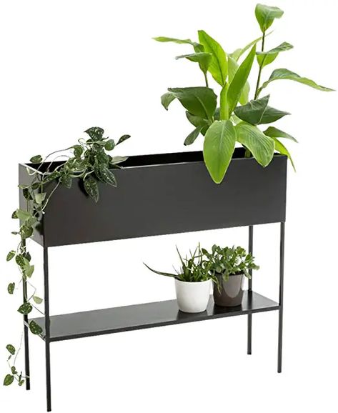 Amazon.com: rectangular planter - Stands / Plant Container Accessories: Patio, Lawn & Garden Rectangular Planter Box, Wrought Iron Plant Stands, Loading Design, Iron Console, Iron Plant Stand, Metal Console Table, Rectangular Planters, Plant Box, Planter Table