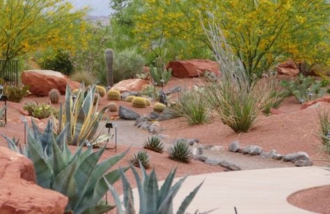 Desert Inspo, Desert Backyard, Low Water Landscaping, Large Backyard Landscaping, Raised Garden Bed Plans, Cedar Raised Garden Beds, Backyard Gardens, Park Design, Small Backyard Gardens