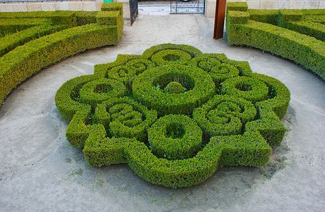 I must find room for this. Intricate boxwood parterre #gardendesign #landscapearchitecture Boxwood Parterre, Knot Garden, Parterre Garden, Boxwood Garden, Garden Hedges, Topiary Garden, Formal Garden, Topiaries, Formal Gardens