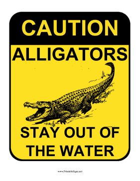 Cya Later Alligator, Florida Everglades, Yellow Sign, Everglades Florida, Crocodiles, Louisiana, Alligator, Halloween Party, Florida