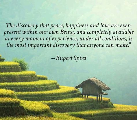 Ava Quotes, Soul Nourishment, Rupert Spira, Bible Board, Advaita Vedanta, Spiritual People, Inner Work, My Philosophy, Thought Of The Day