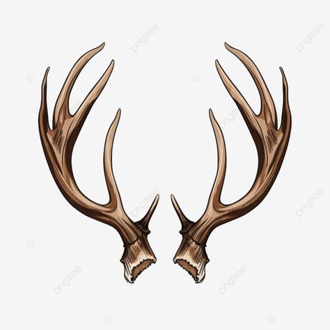 deer horns illustration Horns Illustration, Deer Horns, Deer Horn, Ad Illustration, Animal Png, Transparent Image, Png Icons, Corporate Business, Business Flyer