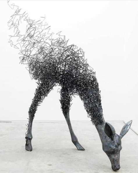 Tomohiro Inaba’s Ghostly, Disappearing Sculptures Om Art, Sculpture Metal, Steel Sculpture, Wire Sculpture, Sculpture Installation, Japanese Artists, Wildlife Art, Magazine Art, Metal Sculpture