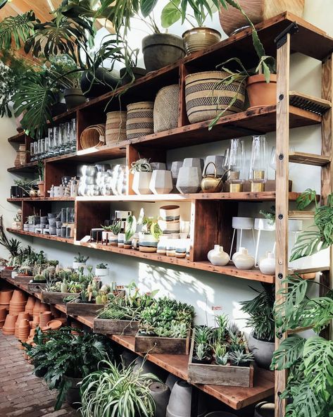 Nice shelving Flower Shop Display, Garden Center Displays, Flower Shop Interiors, Flower Shop Design, Flowers Shop, Florist Shop, Garden Nursery, Garden Store, Floral Shop