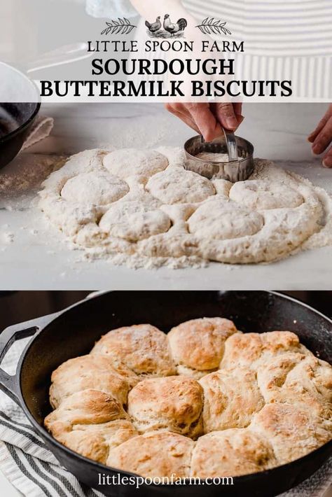 Sourdough Biscuits Recipe, Sourdough Biscuits, Recipe Using Sourdough Starter, Overnight Recipes, Sourdough Starter Discard Recipe, Homemade Sourdough Bread, Bread Starter, Sourdough Starter Recipe, Biscuits Recipe