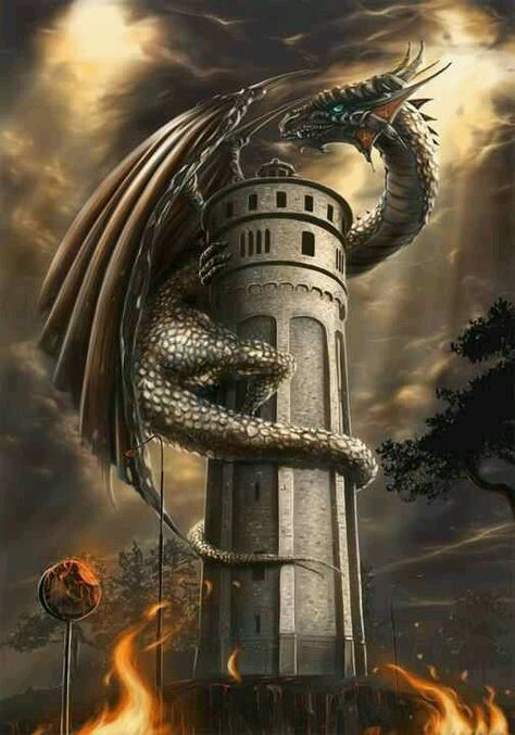 Dragon on castle tower... Dragon Medieval, Breathing Fire, Creature Fantasy, Yin Yang Tattoos, Dragon's Lair, Cool Dragons, Fairy Dragon, Beautiful Dragon, Dragon Pictures