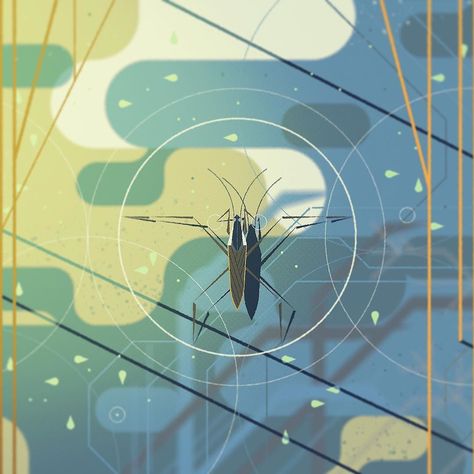 Water Strider from the Science & Nature show #science #nature #waterstrider… Water Strider, Kevin Dart, Nature Illustrations, Animals Illustration, Color Script, Board Pin, Geometric Animals, Feb 5, Retro Illustration