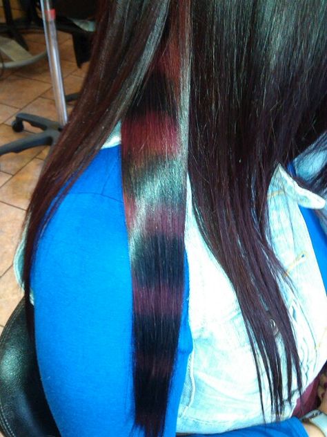 Red Hair With Racoon Tail, Red And Black Raccoon Tails Hair, Red Racoon Tail Hair, Purple Raccoon Tail Hair, Red Raccoon Tail Hair, Blue Raccoon Tail Hair, Raccoon Tail Hair Dye, Raccoon Tails Hair, Racoon Tail Hair