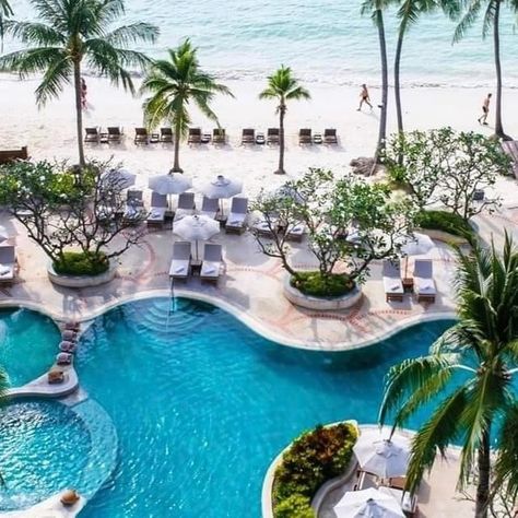 More offers on Thailand: Koh Samui 7 nights fr. £1349pp depart 10 Sept 2024 This offer includes: * 7 Nights at Chaweng Regent Beach Resort * Deluxe Regency Room * Breakfast * Transfers * Flights from London Heathrow Message for further information! #travel #holiday #cruise #travelblogger #travelinfluencer #thailand #kohsamui #chaweng #chawengregentbeachresort #sept2024 #flightfromheathrow Regency Room, Things To Do Koh Samui, Thailand Koh Samui, Karma Resort Koh Samui, Four Seasons Koh Samui, Koh Samui Elephant Sanctuary, Chaweng Beach Koh Samui, Chaweng, Koh Samui