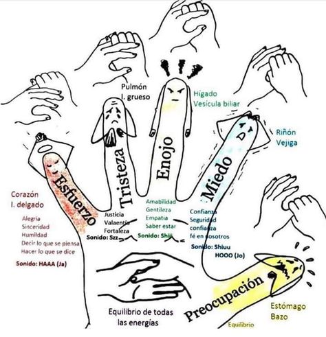 Hand Reflexology, Yoga Mantras, Bad Posture, Kundalini Yoga, Organic Health, Reflexology, Health Motivation, Acupressure, Massage Therapy