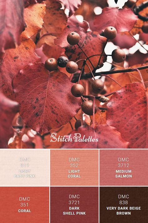 Floss color inspiration for cross stitch and embroidery projects. Thread colors used: DMC 819: Light Baby Pink / DMC 352: Light Coral / DMC 3712: Medium Salmon / DMC 351: Coral / DMC 3721: Dark Shell Pink / DMC 838: Very Dark Beige Brown. Palette ID: SPA0293 Coral Brown Color Palette, Modern Fall Color Palette, Salmon Pink Color Palette, Pink Brown Palette, Pink And Brown Color Palette, Dark Salmon Color, Stitch Palettes, Dark Coral Color, Salmon Colour