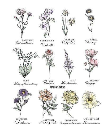 Flower Chart Drawing, Types Of Flowers Drawing, Sketch Techniques, Flower List, Second Tattoo, Binding Book, Flowers Sketch, Cute Small Drawings, Minimalist Tattoo Ideas