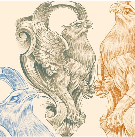 Griffon Tattoo, Gryphon Tattoo, Griffin Tattoo, Griffin Art, Persian Tattoo, Greek Mythology Tattoos, Mythology Tattoos, Greek Tattoos, Tattoo Illustration