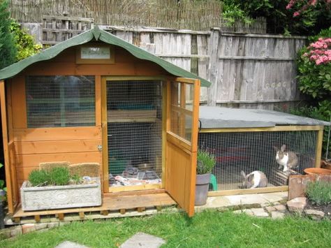 This rabbit hutch would be awesome as a quarantine/grow out hutch right outside the bunny barn. Bunny Sheds, Rabbit Shed, Diy Rabbit Hutch, Rabbit Enclosure, Rabbit Habitat, Unique Rabbit, Bunny Hutch, Guinea Pig House, Rabbit Life