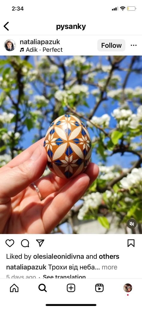 Brown Egg Pysanky, Eggshell Art, Pysanky Eggs Pattern, Pysanky Egg, Brown Egg, Ukrainian Eggs, Egg Ideas, Ukrainian Easter, Pysanky Eggs