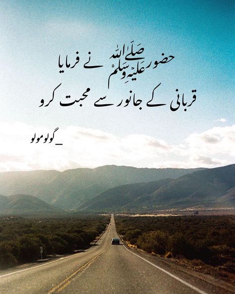 G O L U ' M O L U 🧸 on Instagram: “HUZOOR ﷺ NA FARMAYA : QURBANI KA JANWAR SA MOHABBAT KARO 💙” Qurbani Ka Janwar, Urdu Poetry, Poetry, On Instagram, Quick Saves, Instagram