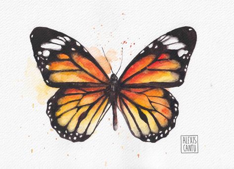 Monarch Butterfly Drawing, Monarch Butterflies Art, Monarch Caterpillar, Inspiring Artwork, Doodle Inspiration, Watercolour Inspiration, Feather Tattoo, Butterfly Drawing, Sketchbook Ideas