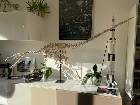 3D printer Full size Velociraptor skeleton Part05/05 • made with Ender 3 Pro・Cults Velociraptor Skeleton, Ender 3 Pro, Ender 3, Augmented Reality, Knick Knacks, Sanding, 3d Printer, A Month, Skeleton